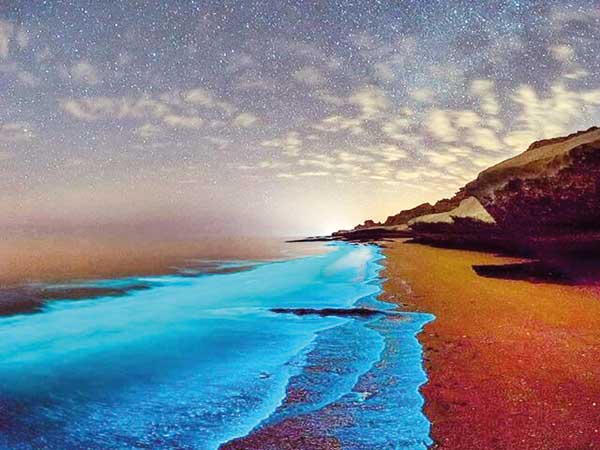 فرصتی که سوخت، امیدی که مانده (+عکس)