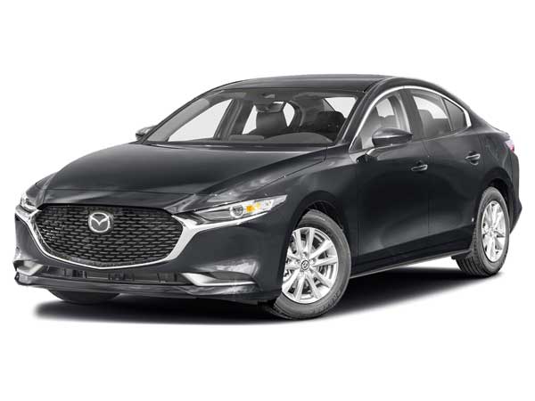 خوش رکاب‌ های جاده‌ های برفی (+تصاویر)