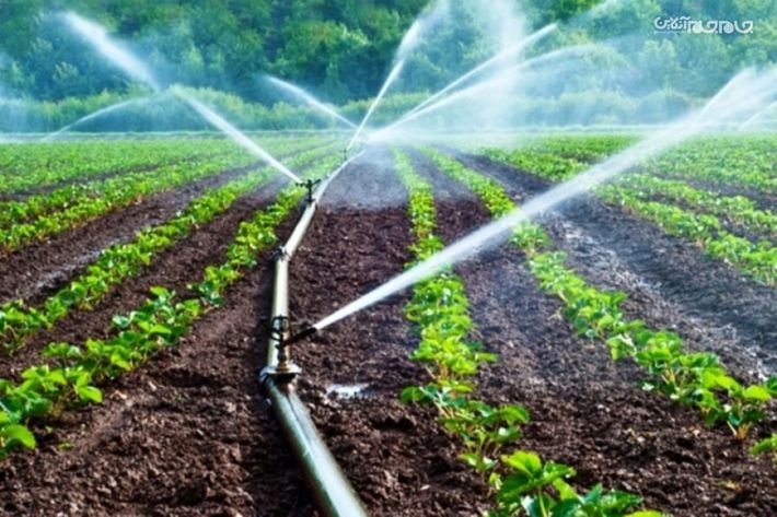 مدیرعامل آب منطقه‌ای استان اردبیل گفت: از آب مصرفی ۸ درصد در حوزه صنعت و شرب و ۹۲ درصد در حوزه کشاورزی است که برنامه ریزی دقیقی را در مصرف بهینه و هوشمند آب طلب می‌کند.