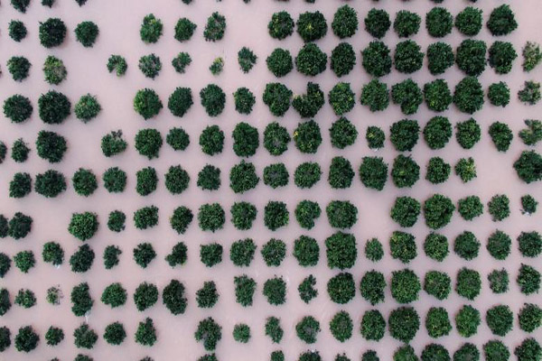 تصادف در دریای بالتیک / خانه هایی که باد آنها را برد (گزارش تصویری) تصادف در دریای بالتیک / خانه هایی که باد آنها را برد (گزارش تصویری)