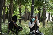 ۳ تا ۵ درصد سالمندان کشور در گروه «بسیار پرخطر» قرار دارند