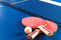 سلول های آزمایشگاهی مغز پینگ پنگ بازی می کنند (+عکس)