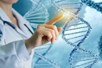 حفاظت از قلب بیماران سرطانی با کمک یک پروتئین