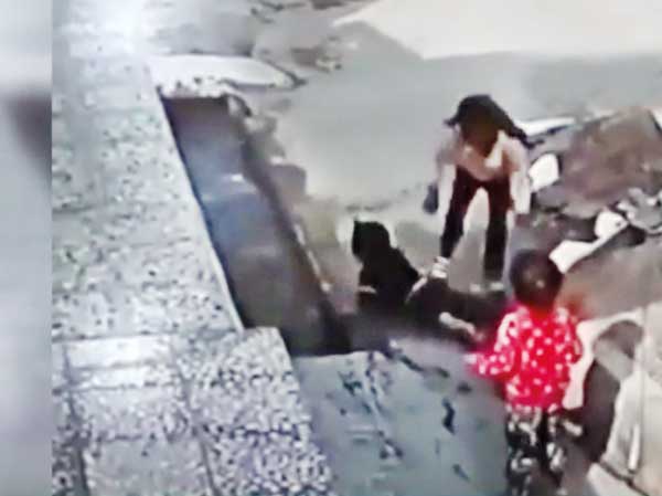 «امیره» قهرمان خوزستان (+عکس) «امیره» قهرمان خوزستان (+عکس)