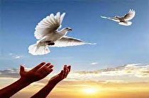 کمک 130میلیارد ریالی خیرین در حوزه آزادی زندانیان