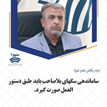 ساماندهی سگهای بلاصاحب باید طبق دستور العمل صورت گیرد
