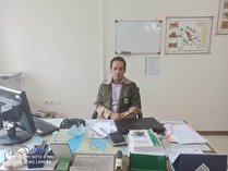یک دهه تلاش برای توسعه جنگل های حرا