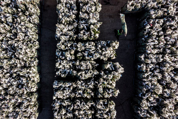 غم دیپورت شدن / یک پدیده نادر در آسمان (گزارش تصویری)
