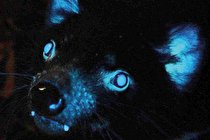 درخشش در اعماق تاریکی