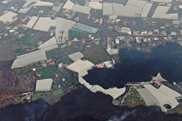 رانش زمین یک جاده را بلعید/ شهرت جهانی گربه ای که سبز شد (گزارش تصویری)