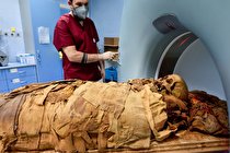 کشف مومیایی 800 ساله (عکس)