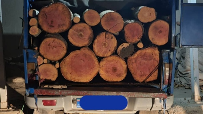 یک محموله قاچاق چوب جنگلی در شهرستان طارم توقیف شد.