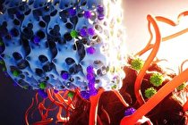 روشی جدید برای درمان سرطان