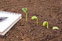 تقویت مدیریت کسب‌ و ‌کار در ۱۴۰۱