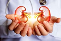 چگونه از کلیه‌ها در ماه رمضان محافظت کنیم؟