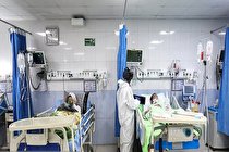 شناسایی ۴۲۲۸ بیمار جدید کرونا در کشور/ ۴۴ تن دیگر جان باختند