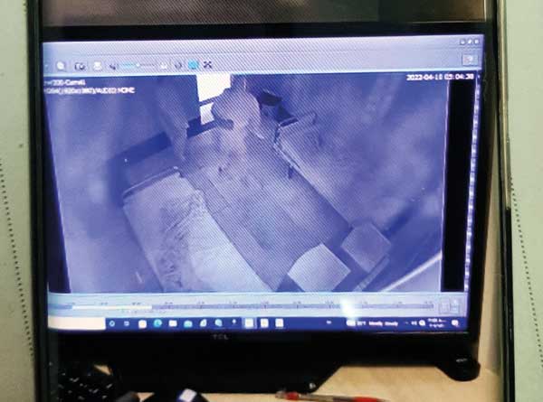 کشتمش تا به بهشت برود! (+تصاویر)