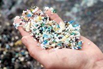 رسوخ پلاستیک‌ به اعماق حیات