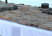 کشف محموله ۷۵۰ کیلوگرمی مواد مخدر در سواحل غرب هرمزگان