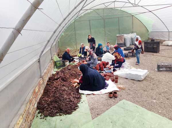 النگوهایی که کارساز شدند النگوهایی که کارساز شدند