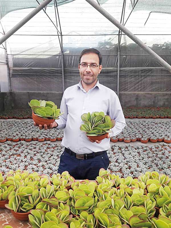 النگوهایی که کارساز شدند النگوهایی که کارساز شدند