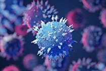 هشدار محققان به مردانی که دچار کرونا شده‌اند