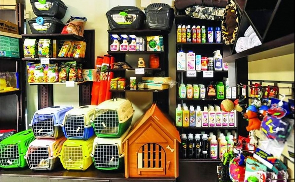 انتخاب کلینیک دامپزشکی معتبر