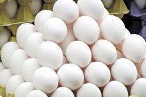 تولید قطره بینی کرونا با استفاده از تخم مرغ!