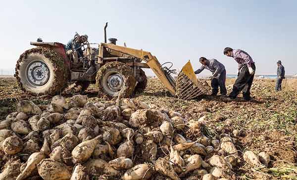 رویای نجات دریاچه با یک تونل | وعدههایی که ارومیه را میخکشاند رویای نجات دریاچه با یک تونل | وعدههایی که ارومیه را میخکشاند