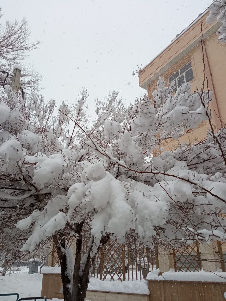 طبیعت برفی و زمستانی شهرستان بروجن (سوئیس ایران)