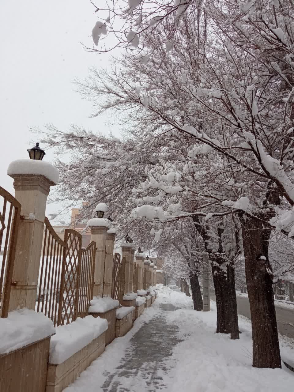 طبیعت برفی و زمستانی شهرستان بروجن (سوئیس ایران)