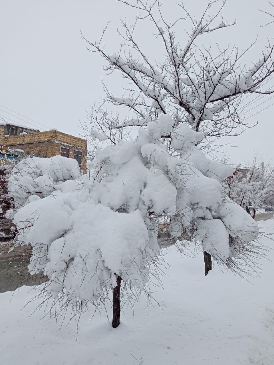 طبیعت برفی و زمستانی شهرستان بروجن (سوئیس ایران)