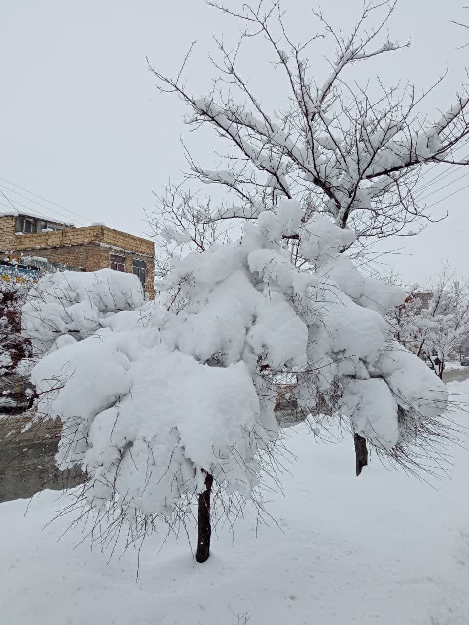 طبیعت برفی و زمستانی شهرستان بروجن (سوئیس ایران)