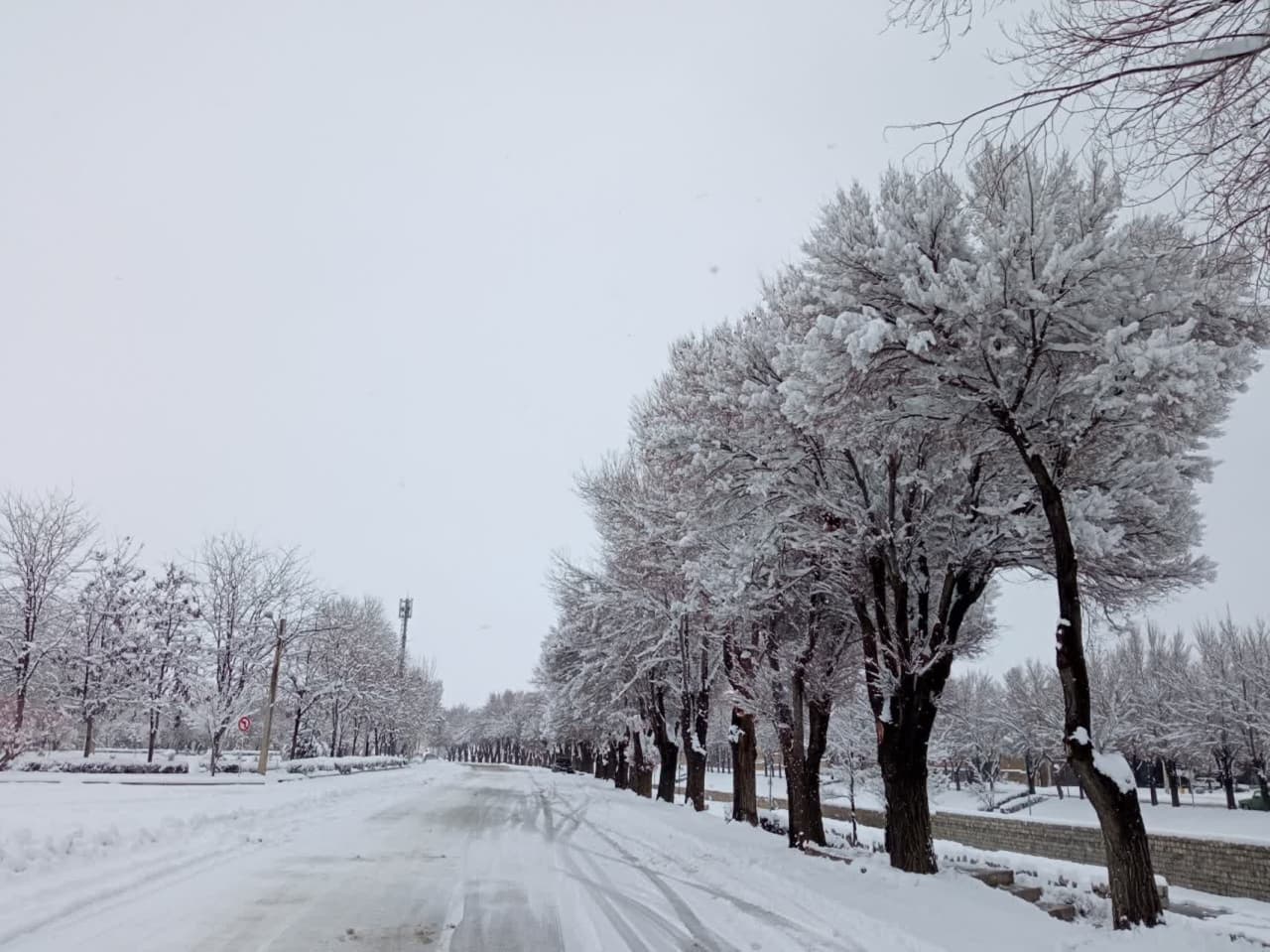 طبیعت برفی و زمستانی شهرستان بروجن (سوئیس ایران)