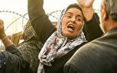 وقتی در برزخ ناآگاهی، عقلانیت ربوده شود!!!