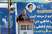 الگویِ کشت قراردادی باید در حوزه آبزی‌پروری اجرا شود