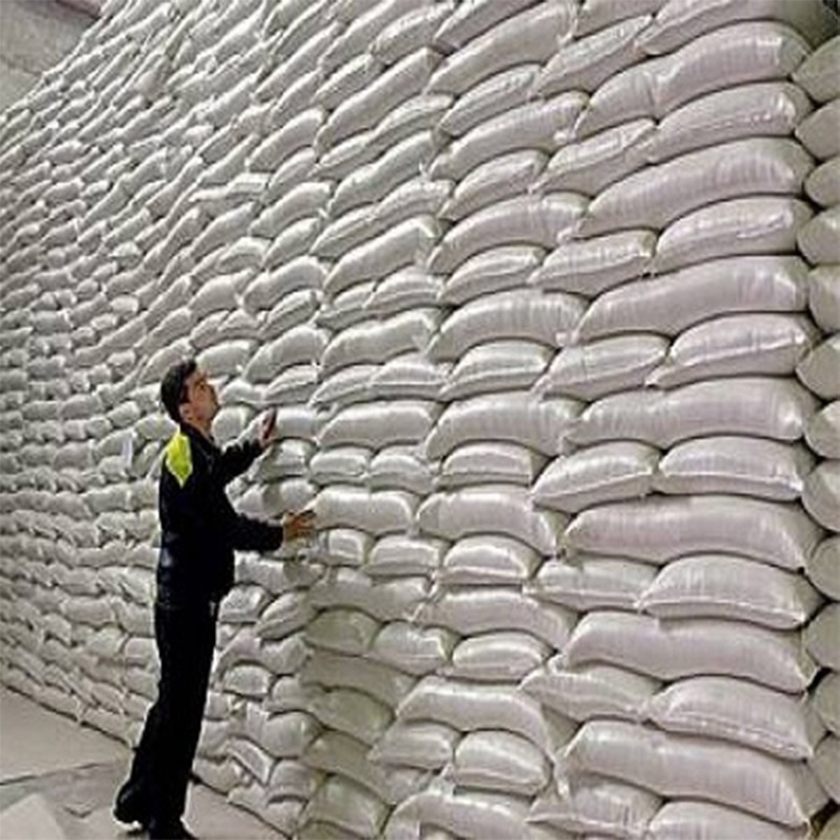 مدیرکل غله و خدمات بازرگانی استان زنجان از تخصیص ۲ هزار و ۳۴۰ تن برنج و شکر برای مصرف شهروندان زنجانی در دی ماه امسال خبر داد.