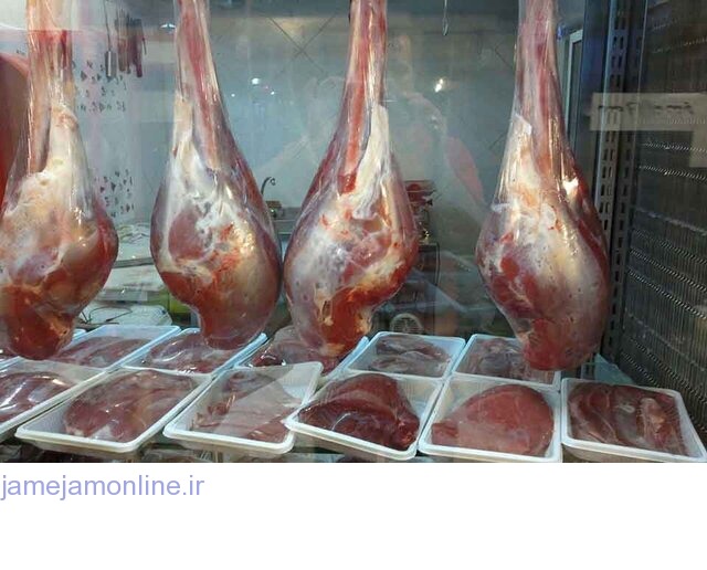 جهاد کشاورزی: تولید حدود ۲۰۰ تن گوشت شتر در خوزستان