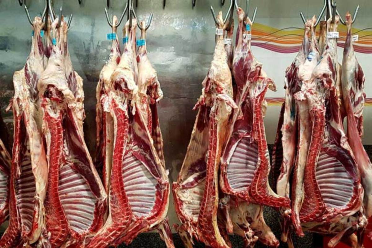 افزایش قیمت گوشت منطقی است اما تولیدکننده ها در ضرر و زیان هستند