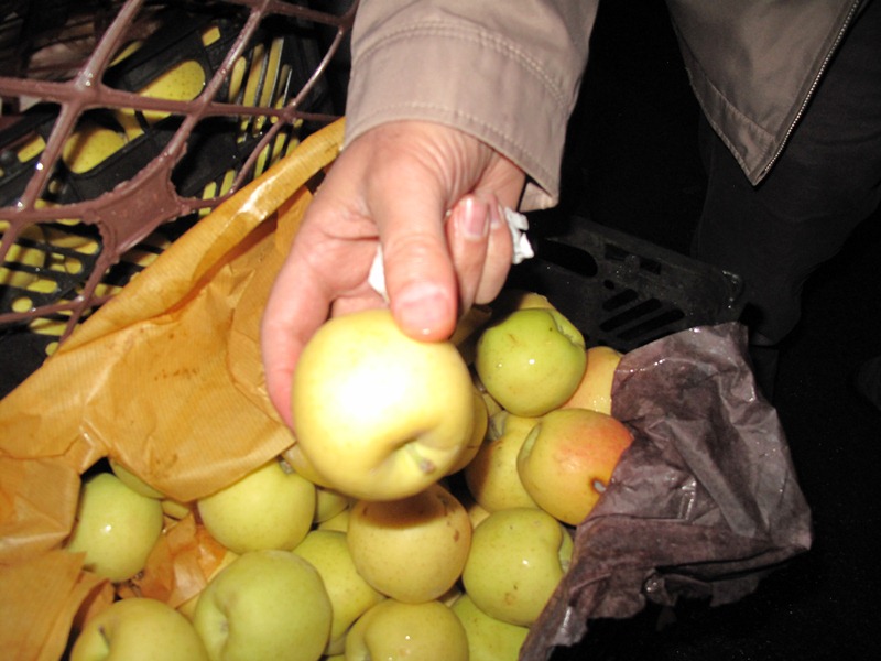 ذخیره و توزیع 450 تن میوه شب عید در نوروز 1402 ذخیره و توزیع 450 تن میوه شب عید در نوروز 1402