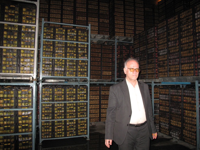 ذخیره و توزیع 450 تن میوه شب عید در نوروز 1402 ذخیره و توزیع 450 تن میوه شب عید در نوروز 1402