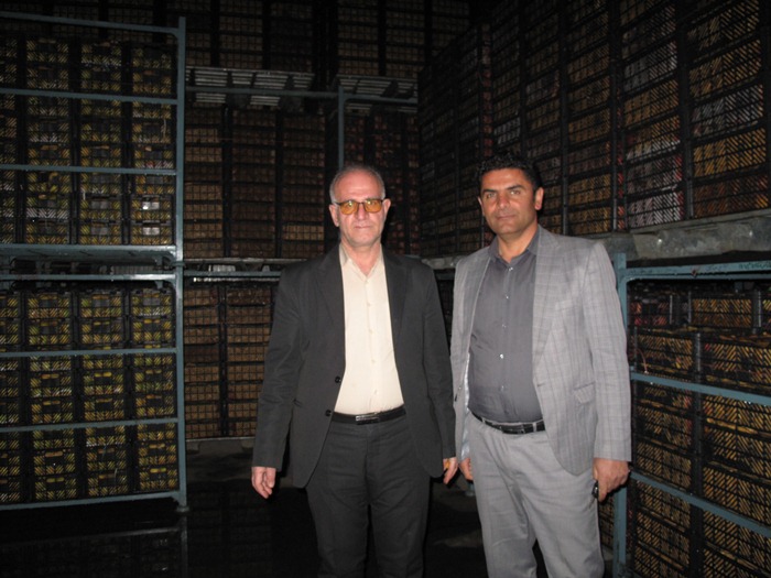 ذخیره و توزیع 450 تن میوه شب عید در نوروز 1402 ذخیره و توزیع 450 تن میوه شب عید در نوروز 1402