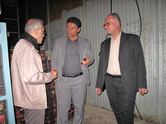 ذخیره و توزیع 450 تن میوه شب عید در نوروز 1402 ذخیره و توزیع 450 تن میوه شب عید در نوروز 1402