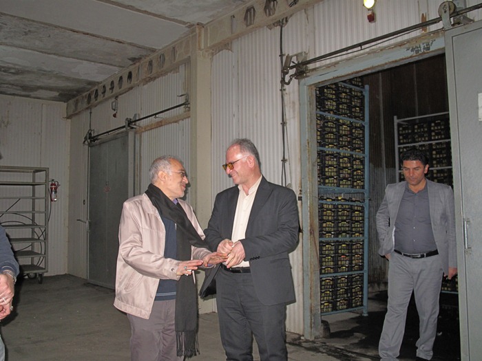 ذخیره و توزیع 450 تن میوه شب عید در نوروز 1402 ذخیره و توزیع 450 تن میوه شب عید در نوروز 1402