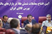 حل مسائل ارزی را با جدیت دنبال می‌کنیم