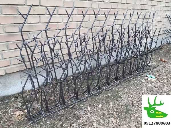 تراکم حفاظ شاخ گوزنی