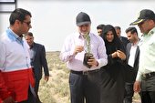 کاشت 4 میلیون نهال در استان