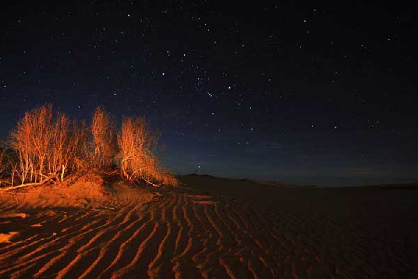 Travel to Iran Yazd Tour Package - IranOnTour.com