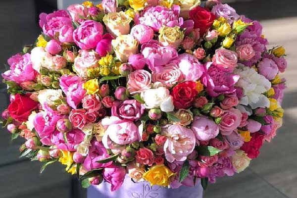 پیدا کردن بهترین گل فروشی ها با کی برتره