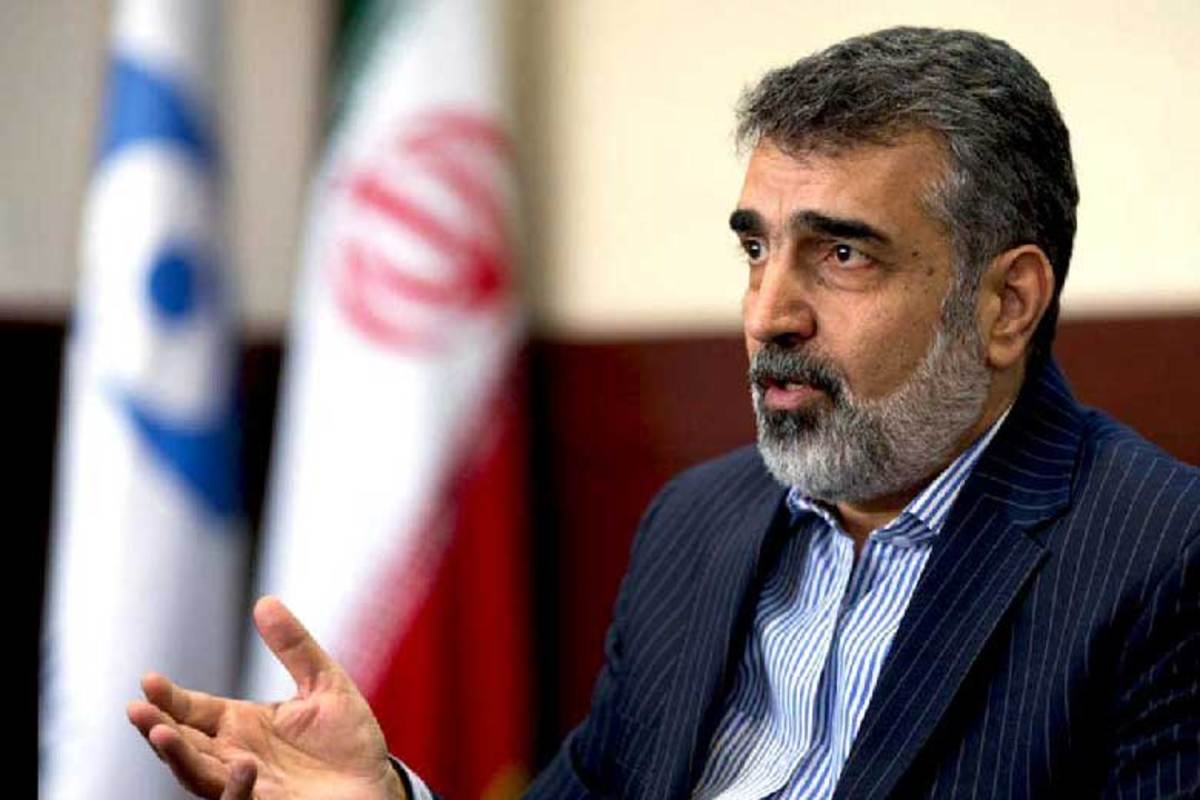 سخنگوی سازمان انرژی اتمی گفت: تردیدی نیست که اگر ایران بخواهد افزایش غنی‌سازی را داشته باشد همان‌طور که پیشتر نیز اقدام کرده، نیت خود را اعلام می‌کند و در این رابطه نیاز به مخفی کاری نیست.